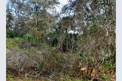 Gilbert Street, North Port, FL 34288 - Photo 1