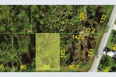 13360 Wolf Avenue, Port Charlotte, FL 33953 - Photo 4