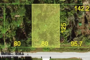 13360 Wolf Ave, Port Charlotte, FL 33953 - Photo 1