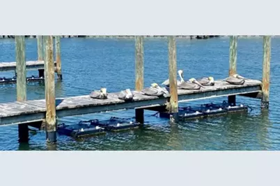 808 Bogie, Venice, FL 34285 - Photo 18