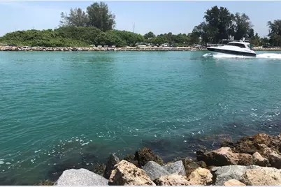 445 Nokomis Avenue S #210, Venice, FL 34285 - Photo 68