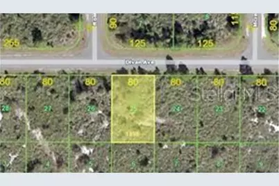 12411 Divan Avenue, Port Charlotte, FL 33981 - Photo 1