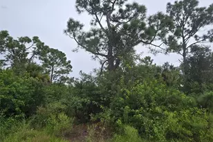 Newman Dr, North Port, FL 34288 - Photo 1