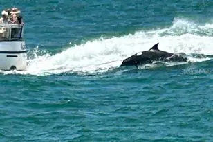 8940 Pickwick Rd, North Port, FL 34287 - Photo 42