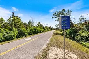 966 Bird Bay Way, Venice, FL 34285 - Photo 36