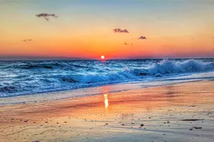 18026 Topiary Pk Pl, Venice, FL 34293 - Photo 36