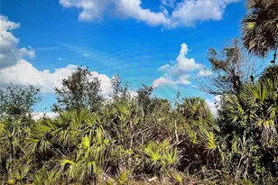 347 Lawler St, Port Charlotte, FL 33954 - Photo 1