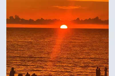 560 Fallbrook Drive, Venice, FL 34292 - Photo 64