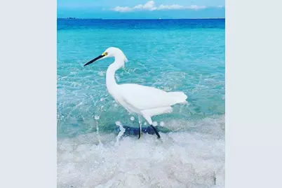 12605 Felice Drive, Venice, FL 34293 - Photo 92