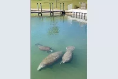 603 Leisure, Venice, FL 34285 - Photo 30