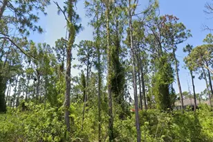 14209 Naylor Ave, Port Charlotte, FL 33981 - Photo 1