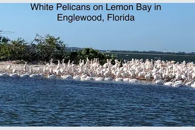 26 Golf View Drive, Englewood, FL 34223 - Photo 98