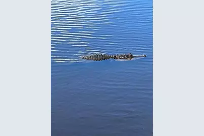 418 Cerromar Court #261, Venice, FL 34293 - Photo 68