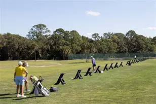 446 Pinewood Lake Dr, Venice, FL 34285 - Photo 74