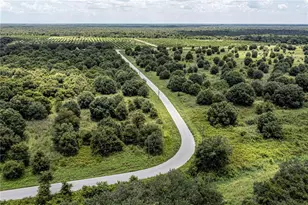 SW Hull Ave, Arcadia, FL 34269 - Photo 20