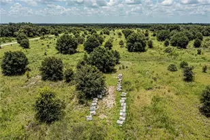 SW Hull Ave, Arcadia, FL 34269 - Photo 22