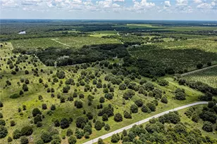 SW Hull Ave, Arcadia, FL 34269 - Photo 10