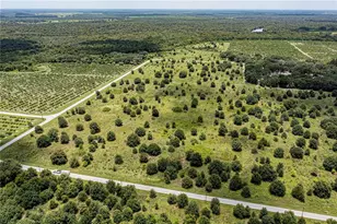 SW Hull Ave, Arcadia, FL 34269 - Photo 8