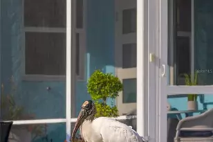 4741 Lemon Bay Dr, Venice, FL 34293 - Photo 48