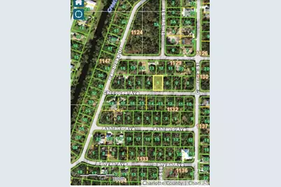 16280 Chicopee Avenue, Port Charlotte, FL 33954 - Photo 2