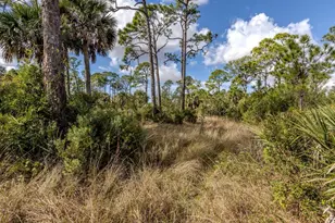 9008 Falcon Ct, Venice, FL 34293 - Photo 16