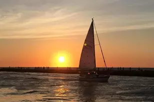 20219 Tesoro Pool Dr, Venice, FL 34293 - Photo 98