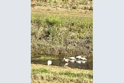 213 Venice Palms Boulevard, Venice, FL 34292 - Photo 22