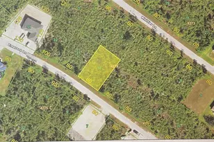 14070 Emerson Ln, Port Charlotte, FL 33981 - Photo 1