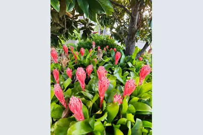 4248 Lenox Boulevard, Venice, FL 34293 - Photo 48