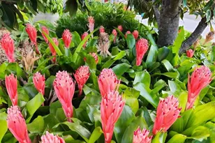 4248 Lenox Blvd, Venice, FL 34293 - Photo 48