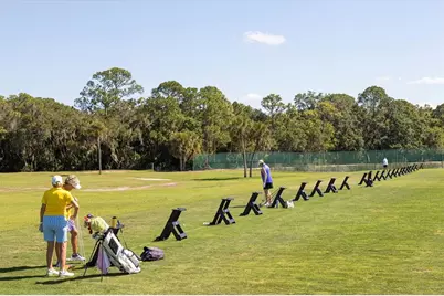 421 Pinewood Lake Drive, Venice, FL 34285 - Photo 70