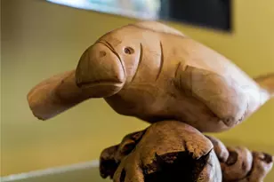 424 Baycrest Dr, Venice, FL 34285 - Photo 52