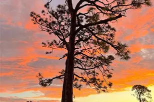 4925 Pepperwood Pl, Venice, FL 34293 - Photo 42