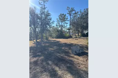 29310 Bryan Way, Punta Gorda, FL 33982 - Photo 26