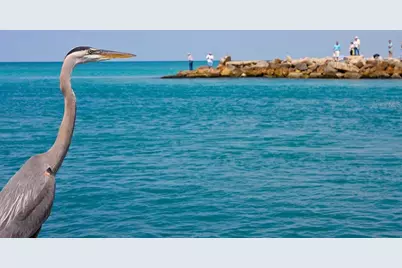 1035 Topelis Drive, Englewood, FL 34223 - Photo 58