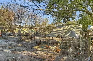 43430 Cooter Pond Rd, Deland, FL 32720 - Photo 26