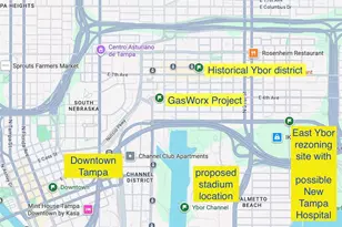 806 E Robles St, Tampa, FL 33602 - Photo 10