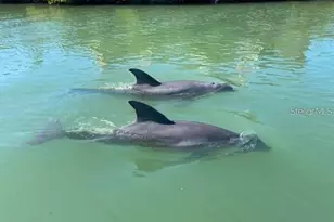 1627 Del Monte Ct, Venice, FL 34293 - Photo 68