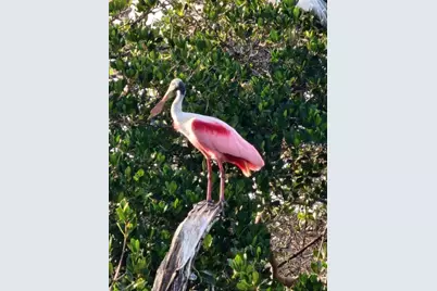 1627 Del Monte Court, Venice, FL 34293 - Photo 66