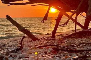 1627 Del Monte Ct, Venice, FL 34293 - Photo 76