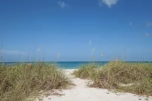 2350 Mission Valley Blvd, Nokomis, FL 34275 - Photo 46