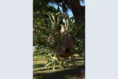 6805 Anapa Court, North Port, FL 34287 - Photo 10