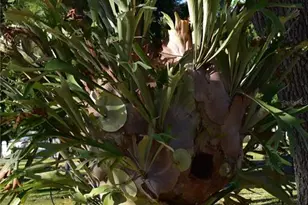 6805 Anapa Ct, North Port, FL 34287 - Photo 10