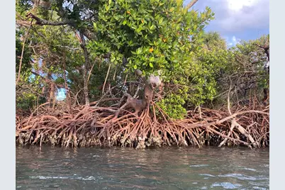 170 Mockingbird Lane, Englewood, FL 34223 - Photo 84