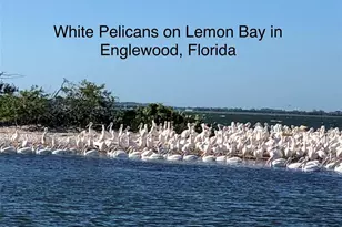 1104 Yosemite Dr, Englewood, FL 34223 - Photo 62