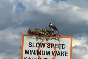 2542 Cortenova Ct, Venice, FL 34292 - Photo 80