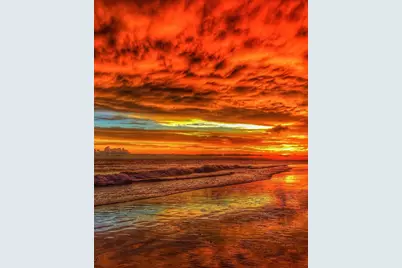 2542 Cortenova Court, Venice, FL 34292 - Photo 88