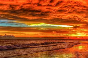 2542 Cortenova Ct, Venice, FL 34292 - Photo 88