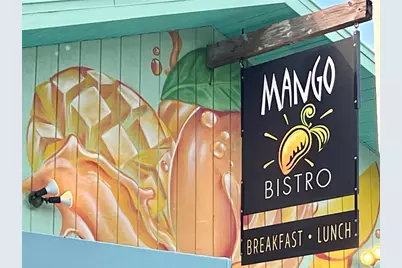 9367 Carnaby Drive, Venice, FL 34293 - Photo 94