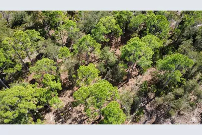 17455 Bly Avenue, Port Charlotte, FL 33948 - Photo 8